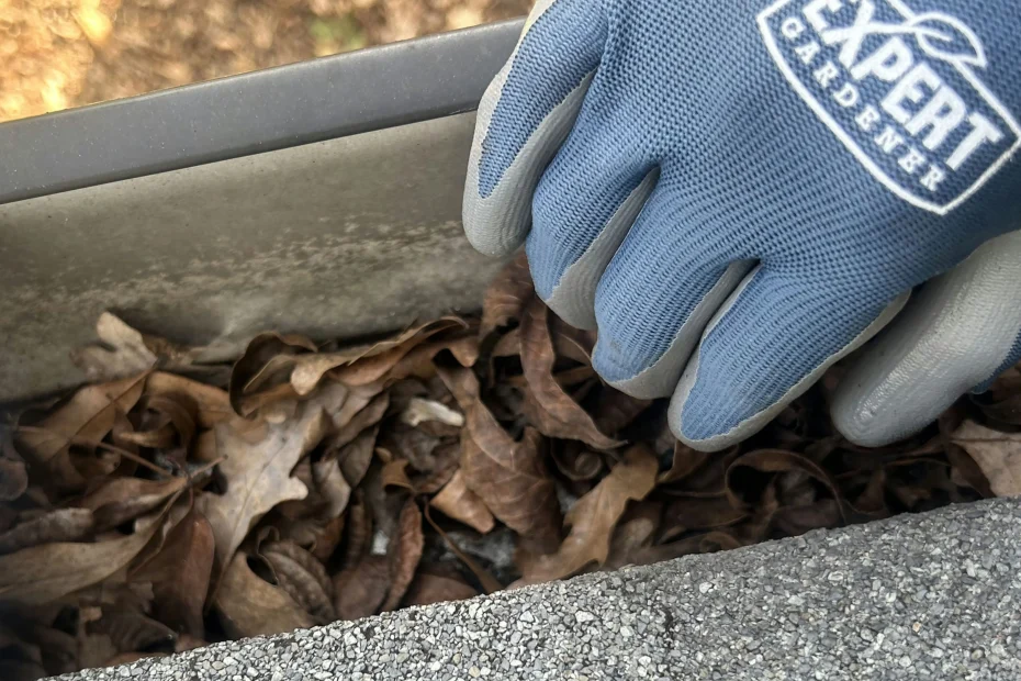 Gutter Cleaning Hartselle