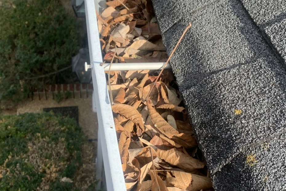 Gutter Cleaning Hartselle