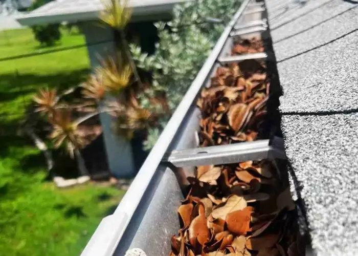 Gutter Cleaning Hartselle home page